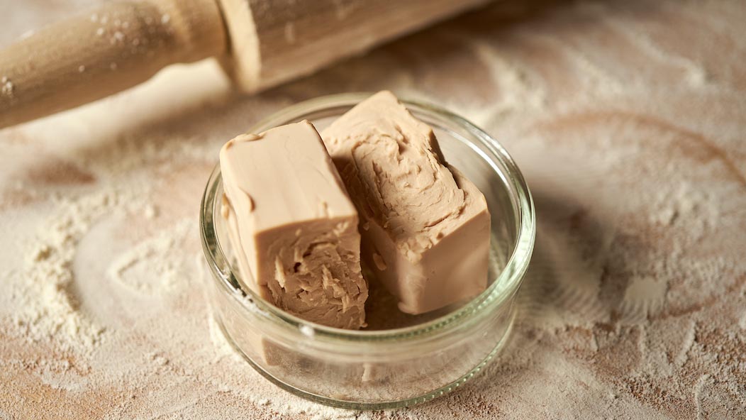 Understanding the Different Types of Yeast